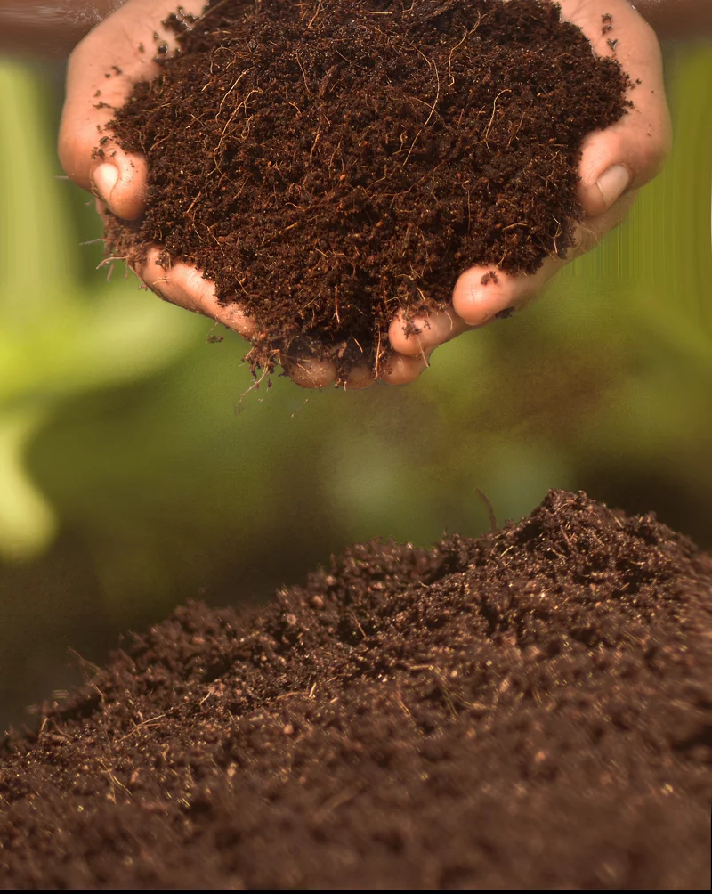 cocopeatcompost